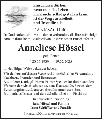 Traueranzeige von Anneliese Hössel von Südthüringer Presse