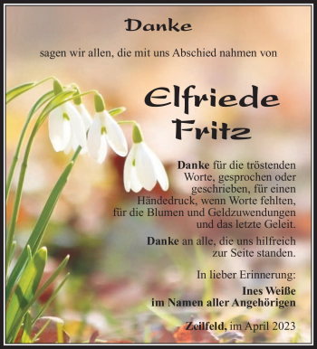 Traueranzeige von Elfriede Fritz von Südthüringer Presse