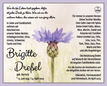 Traueranzeige von Brigitte Dreßel von Südthüringer Presse