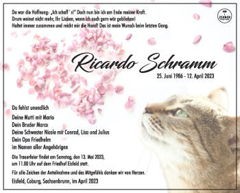 Traueranzeige von Ricardo Schramm von Südthüringer Presse