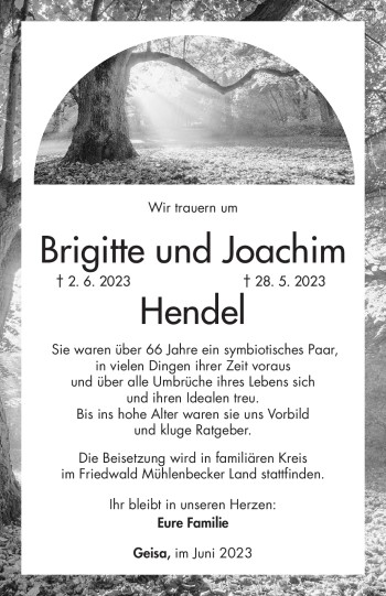 Traueranzeige von BrigitteJoachim HendelHendel von Südthüringer Presse