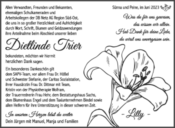 Traueranzeige von Dietlinde Trier von Südthüringer Presse