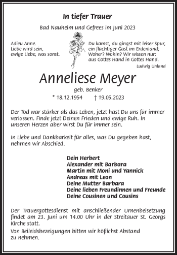 Traueranzeige von Anneliese Meyer von Frankenpost