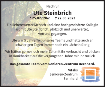 Traueranzeige von Ute Steinbrich von Südthüringer Presse