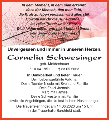 Traueranzeige von Cornelia Schwesinger von Südthüringer Presse