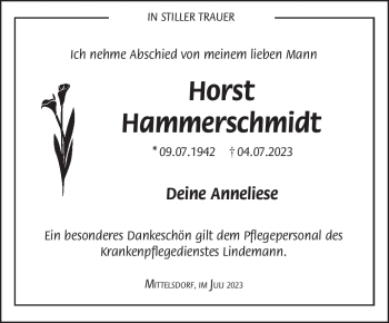 Traueranzeige von Horst Hammerschmidt von Südthüringer Presse