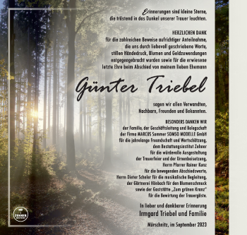 Traueranzeige von Günter Triebel von Südthüringer Presse
