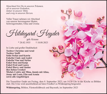 Traueranzeige von Hildegard Heyder von Südthüringer Presse