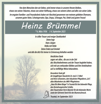 Traueranzeige von Heinz Brümmel von Südthüringer Presse