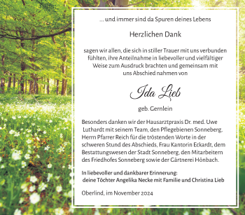 Traueranzeige von Ida Liebe von Südthüringer Presse