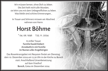 Traueranzeige von Horst Böhme von Südthüringer Presse
