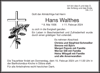 Traueranzeige von Hans Walthes von Frankenpost