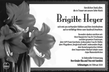 Traueranzeige von Brigitte Heyer von Südthüringer Presse