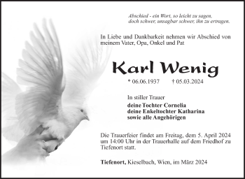 Traueranzeige von Karl Wenig von Südthüringer Presse