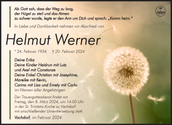 Traueranzeige von Hemut Werner von Südthüringer Presse