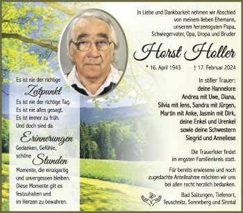 Traueranzeige von Horst Holler von Südthüringer Presse