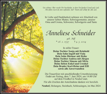 Traueranzeige von Anneliese Schneider von Südthüringer Presse