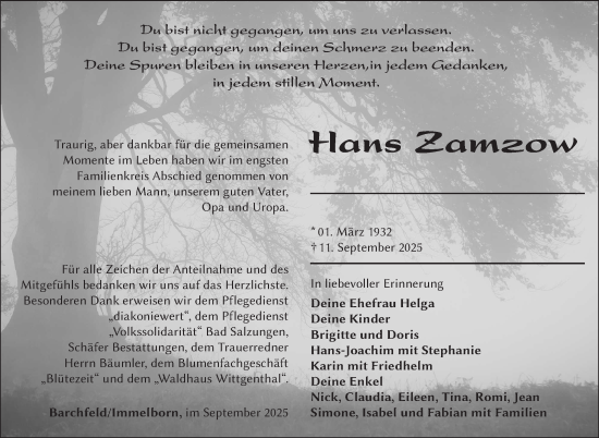 Traueranzeige von Hans Zamzow von Südthüringer Presse