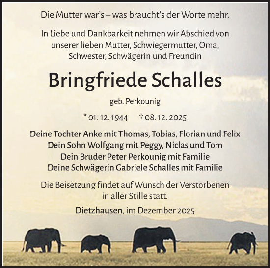 Traueranzeige von Bringfriede Schalles von Südthüringer Presse