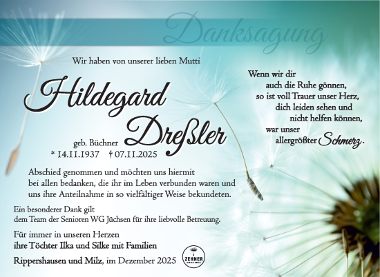 Traueranzeige von Hildegard Dreßler von Südthüringer Presse