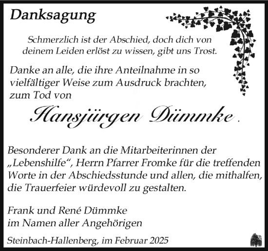 Traueranzeige von Hansjürgen Dümmke von Südthüringer Presse