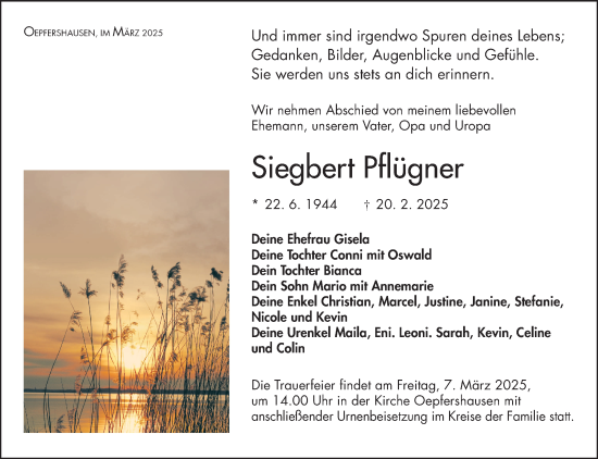 Traueranzeige von Siegbert Pflügner von Südthüringer Presse