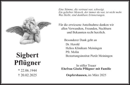Traueranzeige von Sigbert Pflügner von Südthüringer Presse