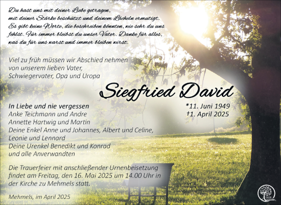 Traueranzeige von Siegfried David von Südthüringer Presse