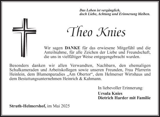 Traueranzeige von Theo Knies von Südthüringer Presse