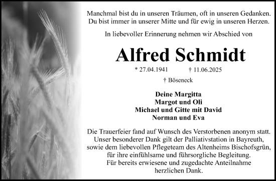 Traueranzeige von Alfred Schmidt von Südthüringer Presse
