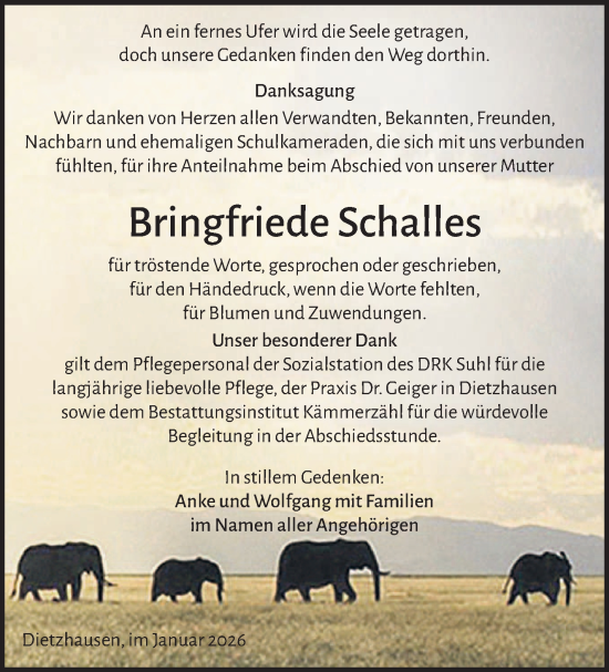 Traueranzeige von Bringfriede Schalles von Südthüringer Presse