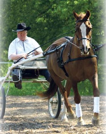 Profilbild Dieter Schmiedel