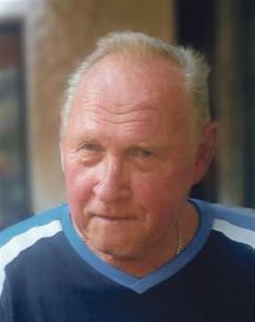 Profilbild Hans Welscher