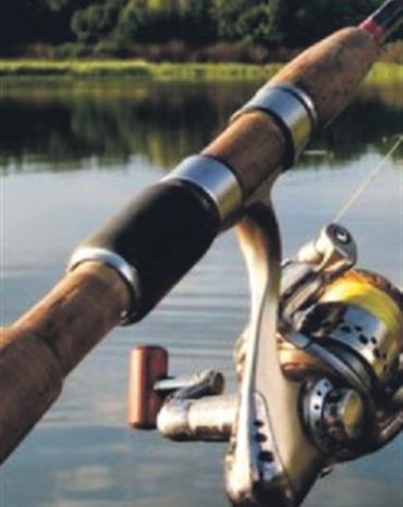 Profilbild Harald Hobert