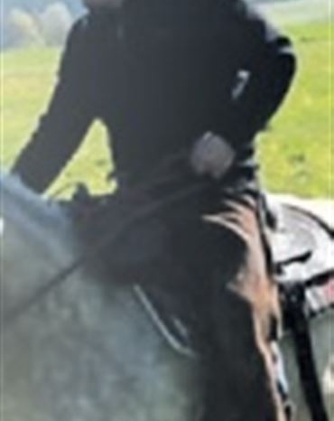 Profilbild Jürgen Wiese