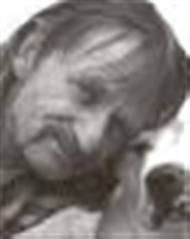 Profilbild Wolfgang Holland-Jobb