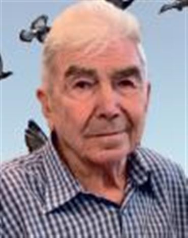 Profilbild Wolfgang Petter