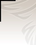 Profilbild Siegrid Grötenherd