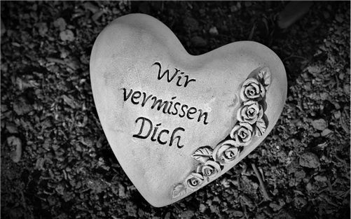 Your browser does not support the webp format